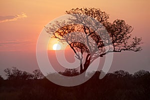 Kruger Park Sunrise