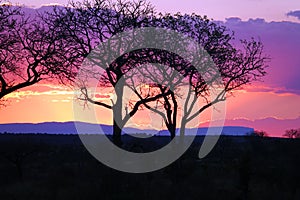 Kruger Sunset