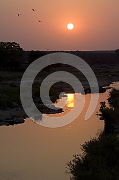 Krugerpark, South-Africa