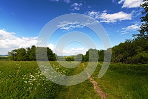 Krusne hory mountains in summer day photo