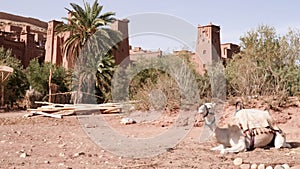 The Ksar Kasbah Ait Benhaddou in Morocco.