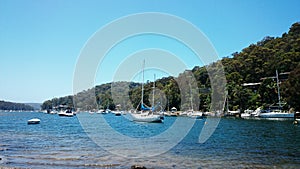 Ku-ring-gai Chase National Park