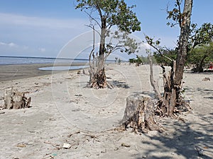 Kuakata beach