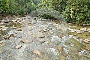 Kuala Woh Recreational Forest