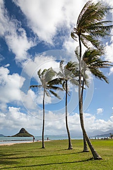 Kualoa Regional Park Scenic Landscape Hawaii