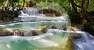 Cascada en Bosque 