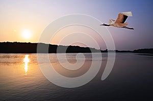 Kuantan river, Kuantan, Malaysia.