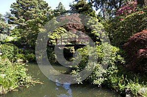 Kubota Japanese garden with pond, Seattle, May photo