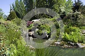 Kubota Japanese garden, Seattle, May photo