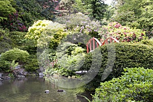 Kubota japanese garden photo