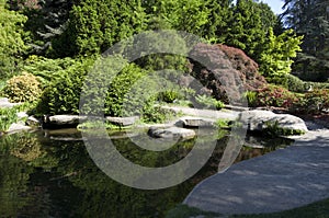 Kubota Japanese garden with pond, Seattle, May photo