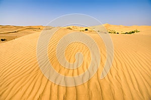 Kubuqi desert in Inner Mongolia, China