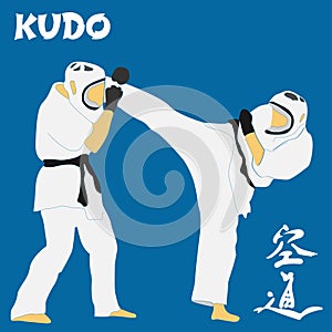 Kudo martial arts fighters illustration