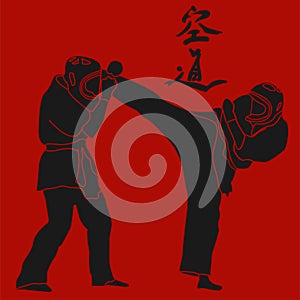 Kudo martial arts fighters illustration