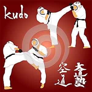 Kudo martial arts fighters illustration