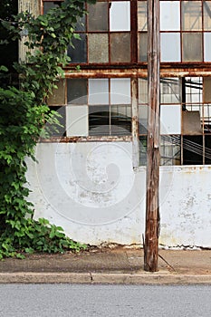 Kudzu growing beside derelict building