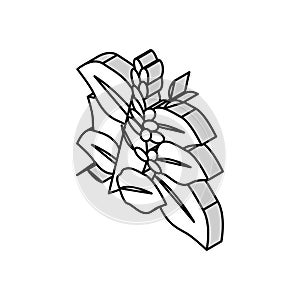 kudzu plant isometric icon vector illustration