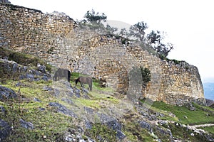 Kuelap - Fortress Chachapoyya civilization, conquered the Incas. It was built in the X century and lasted until around XVI century