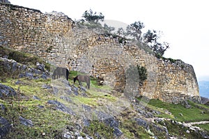 Kuelap - Fortress Chachapoyya civilization, conquered the Incas. It was built in the X century and lasted until around XVI century photo