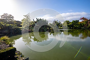 Kuirau Geothermal Park photo