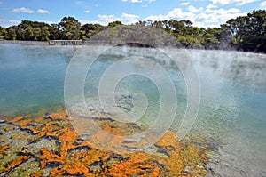 Kuirau Park in Rotorua - New Zealand