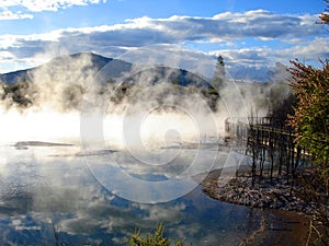 Kuirau Park, Rotorua, New Zealand