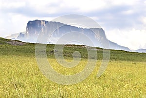 Kukenan Table Mount Kukenan Tepui and Savannahs of La Gran Sabana, Canaima National Park, Venezuela