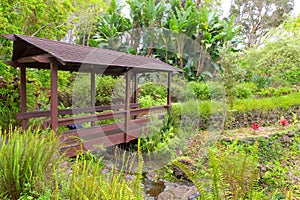 Kula Botanical Garden. Maui. Hawaii. Covered bridge. Tropical landscape. photo