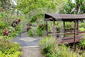 Kula Botanical Garden. Maui. Hawaii. Covered bridge. Tropical landscape. photo