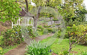 Kula Botanical Garden. Maui. Hawaii. White gazebo. Tropical landscape. photo