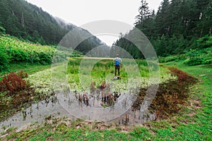 Kullu, Himachal Pradesh, India - September 02, 2018 : Grass covered punrik rishi lake surrounded by deodar tree