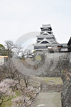 Kumamoto castle destroyed by fire but governor rebuild and conserve in Japan