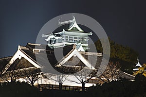 Kumamoto Castle night view