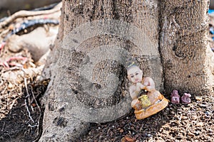 Kuman Thong.The baby doll was left at the base of the tree