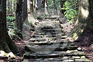 Kumano Kodo ancient pilgrim trail photo