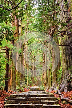 Kumano Kodo at Daimon-zaka, a sacred trail designated as a UNESCO World Heritage site in Nachi, Wakayama, Japan