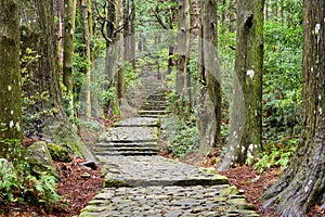 Kumano Kodo photo