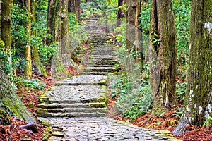 Kumano Kodo Trail photo
