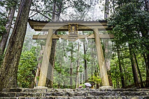 Kumano Sacred Trail photo