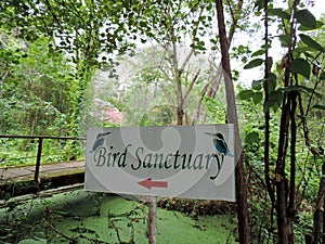 Kumarakom Bird Sanctuary in Kerala, India