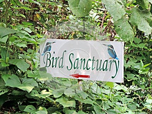 Kumarakom Bird Sanctuary in Kerala, India