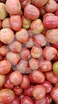 Kumpulan tomat siap fimakan red tomatos