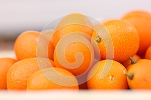 Kumquat