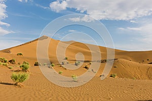 The Kumutage Desert in Xinjiang, China, the desert closest to the city