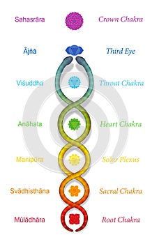 Kundalini Serpent Sanskrit Coiled Snake Chakras Names Symbols photo