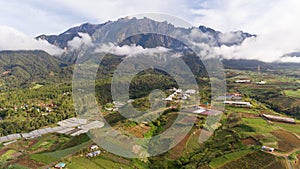 Kundasang Cabbage Garden