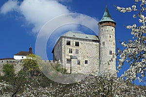 Kuneticka hora castle photo