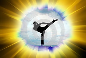 Kung fu illustration