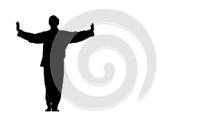 Kung fu, karate, martial arts, Silhouette, Slow