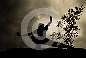 Kung Fu Martial Art Background photo